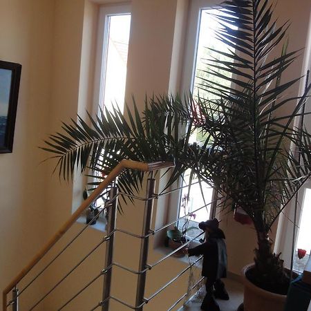 Appartement Fritzis Haus à Dierhagen Extérieur photo